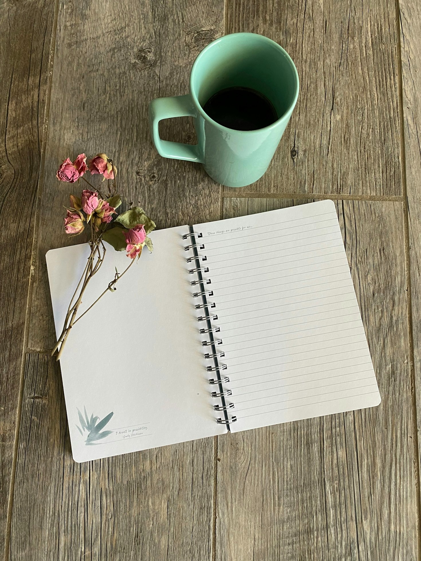Connecting Through Shared Insights and Adventures